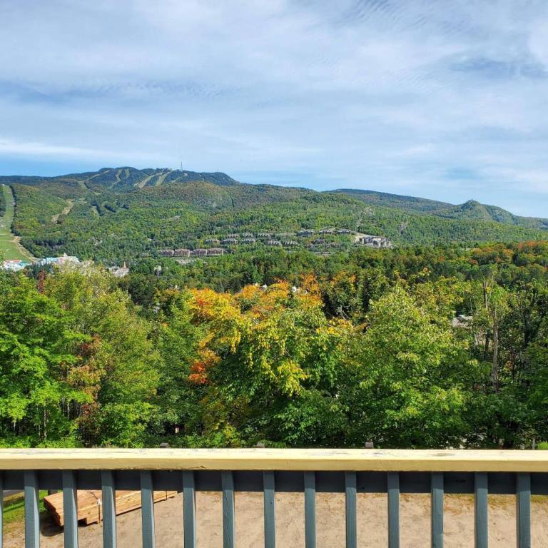 Logement à louer Mont-tremblant | 3307964