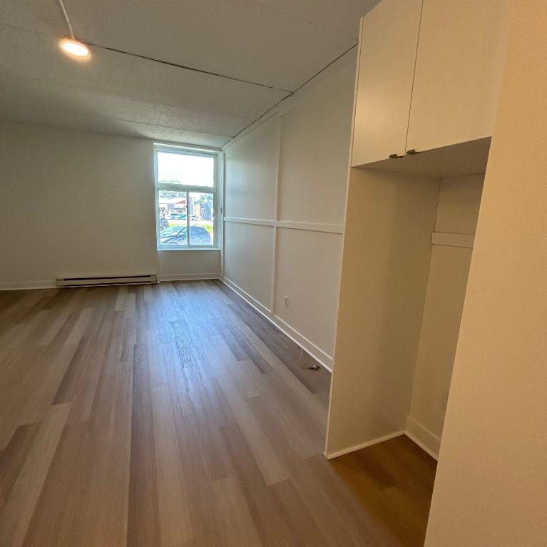 Studio - Saint-Charles-Borromée - $1,099 /mo | 3307983