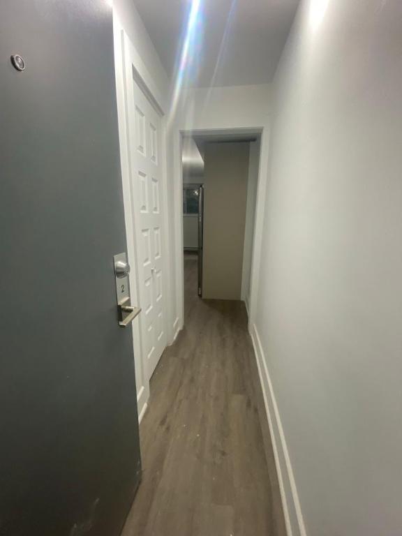 Studio - Montréal - $1,299 /mo | 3308062