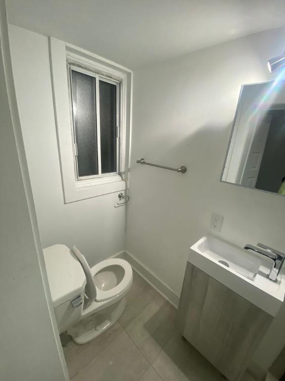 Studio - Montréal - $1,299 /mo | 3308062