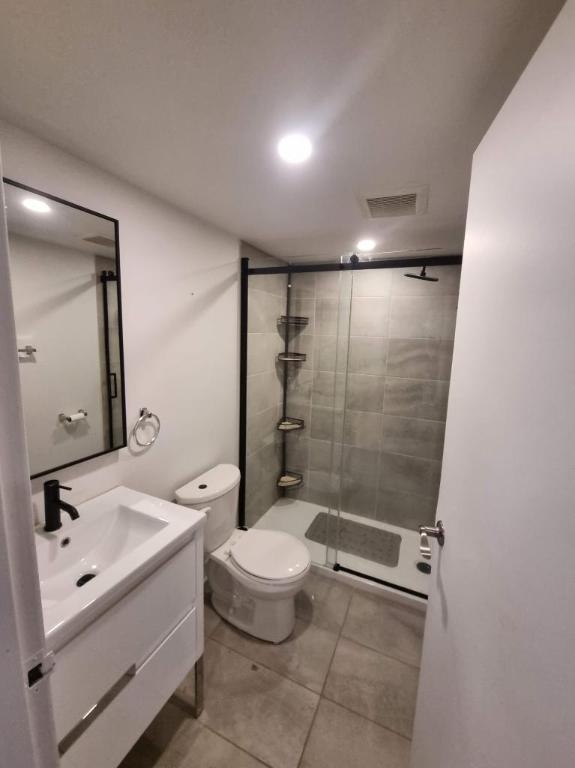 Studio - Côte Saint-Luc - $1,399 /mo | 3303266