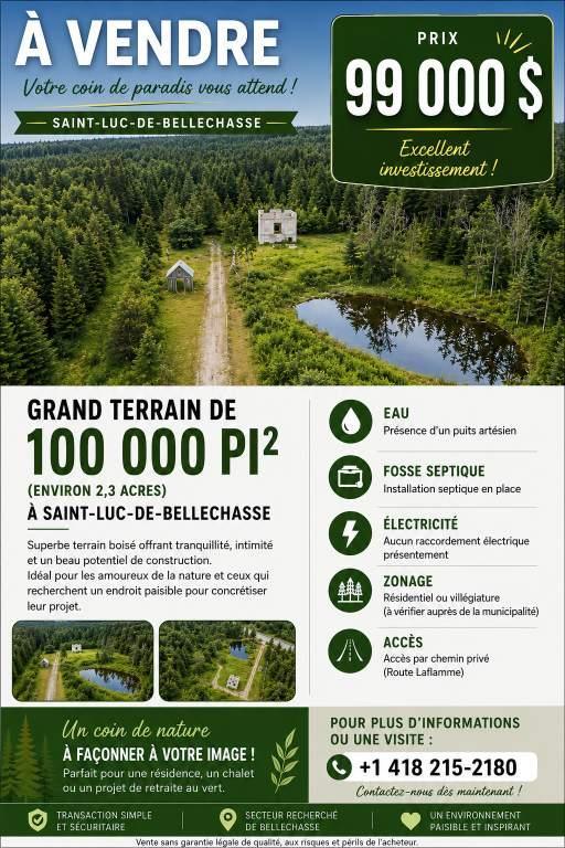 Grand terrain boisé de 100 000 pi² à vendre – Saint-Luc-de-Bellechasse – 99 000 $ | 3303372
