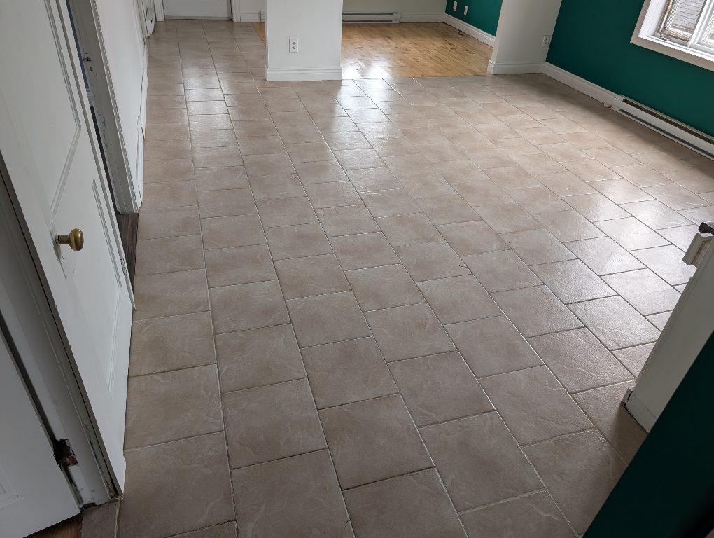 GRAND 6-1/2 A LOUER SPACIEUX ET LUMINEUX A SHAWINIGAN DISPONIBLE MAINTENANT CONTACTEZ-NOUS AU 514-377-7407 | 3308337