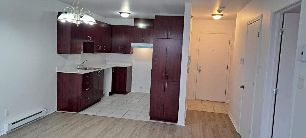 Grand 3 1/2 RENOVER, Saint-Eustache avec clientèle établi de 55+ ans | 3303684