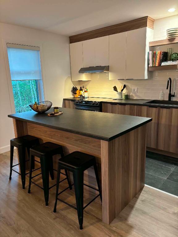 ❗️1er mois gratuit❗️Appartement à louer Chicoutimi | 3303727