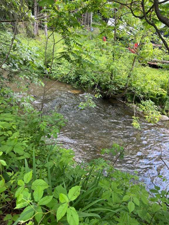 TERRAIN A VENDRE AU CAMPING PARC BROMONT EN ESTRIE | 3303752