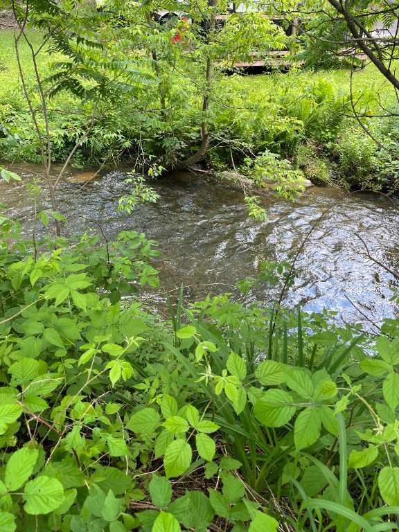 TERRAIN A VENDRE AU CAMPING PARC BROMONT EN ESTRIE | 3303752