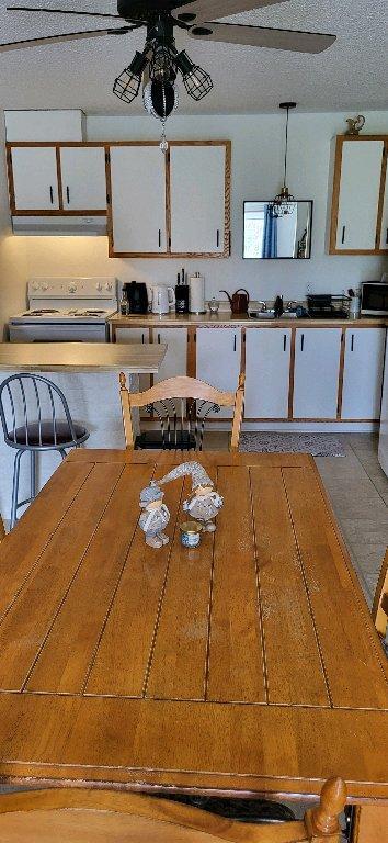Beau 4 1/2 à louer - Shawinigan | 3303830