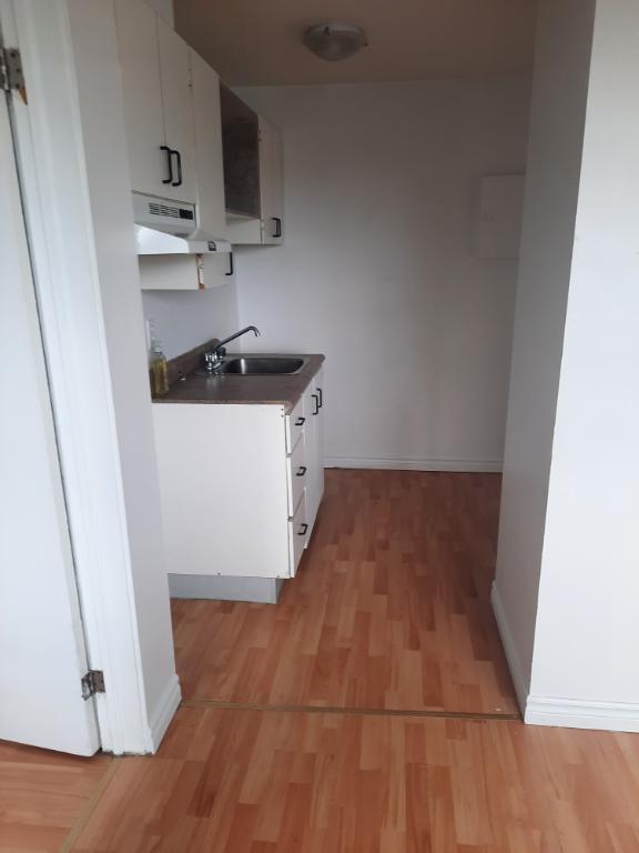 STUDIO LIBRE NOVEMBRE/DÉCEMBRE - À ALMA | 3303834