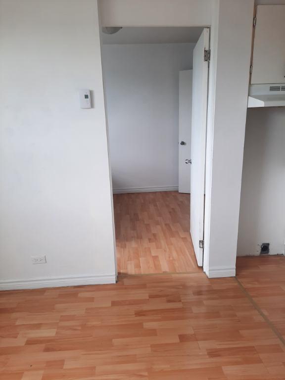 STUDIO LIBRE NOVEMBRE/DÉCEMBRE - À ALMA | 3303834