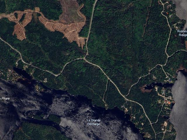 Terrain | 3303941