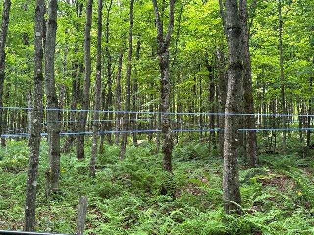 St-Sylvestre (Chaudière-Appalaches) : Érablière de 70,55 acres | 3303945