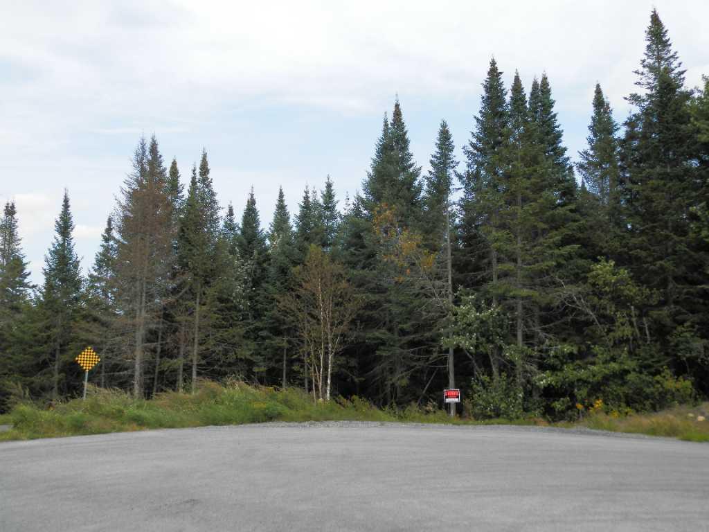 Terrain A Vendre Ste Agathe Des Monts | 3304176
