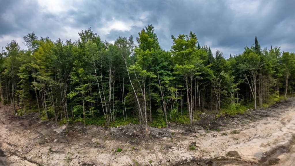 Terrain boisé à vendre — Les Boisés de la Sucrerie, Eastman (à partir de 190 000$) | 3304180