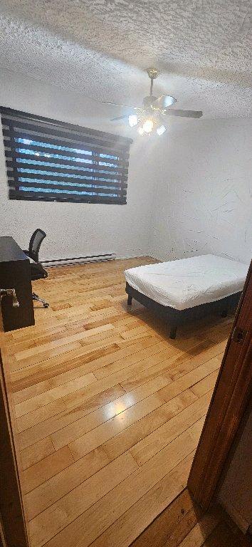 Chambre d'étudiantes | 3304288