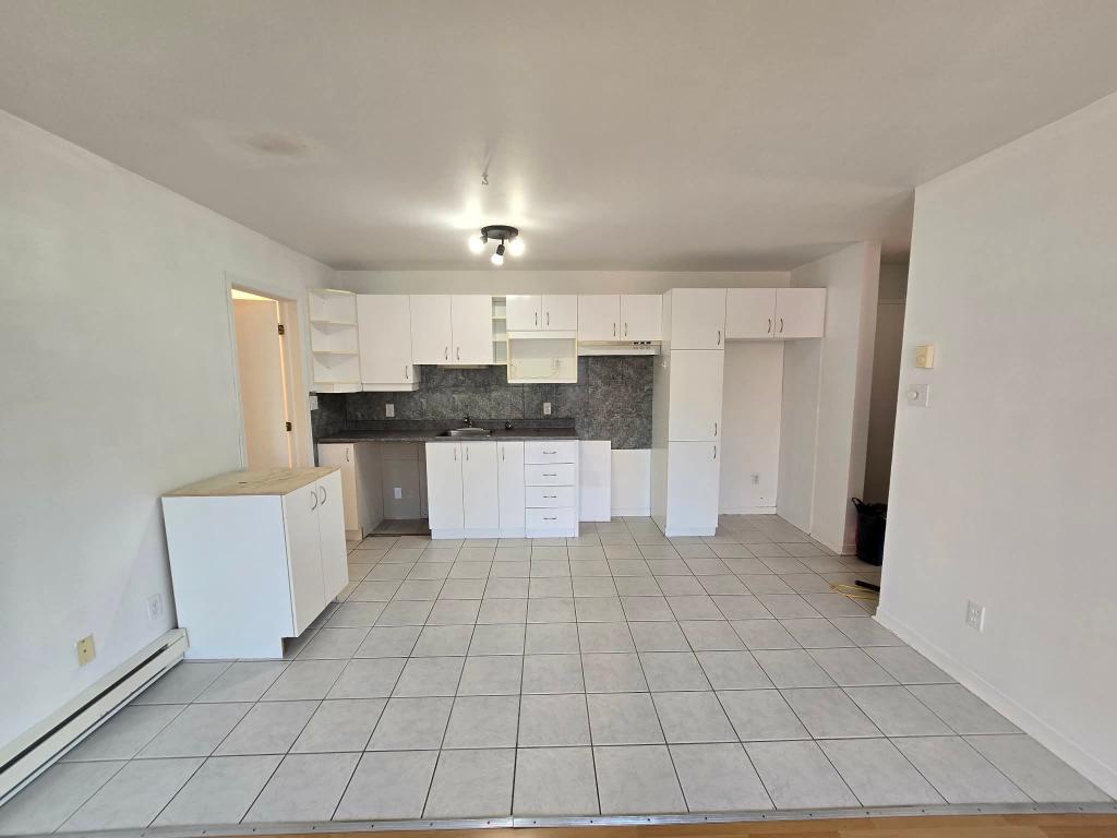 BEAU 4 1/2 LIBRE AU 1ER JUILLET DELSON RIVE SUD | 3304788