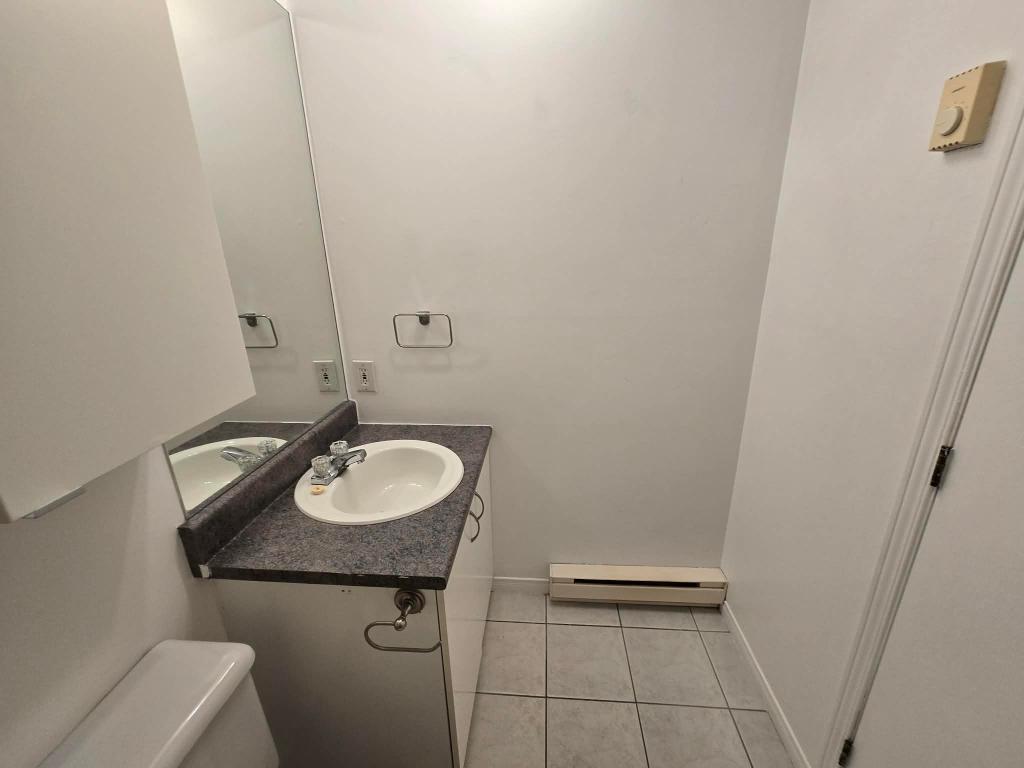 BEAU 4 1/2 LIBRE AU 1ER JUILLET DELSON RIVE SUD | 3304788