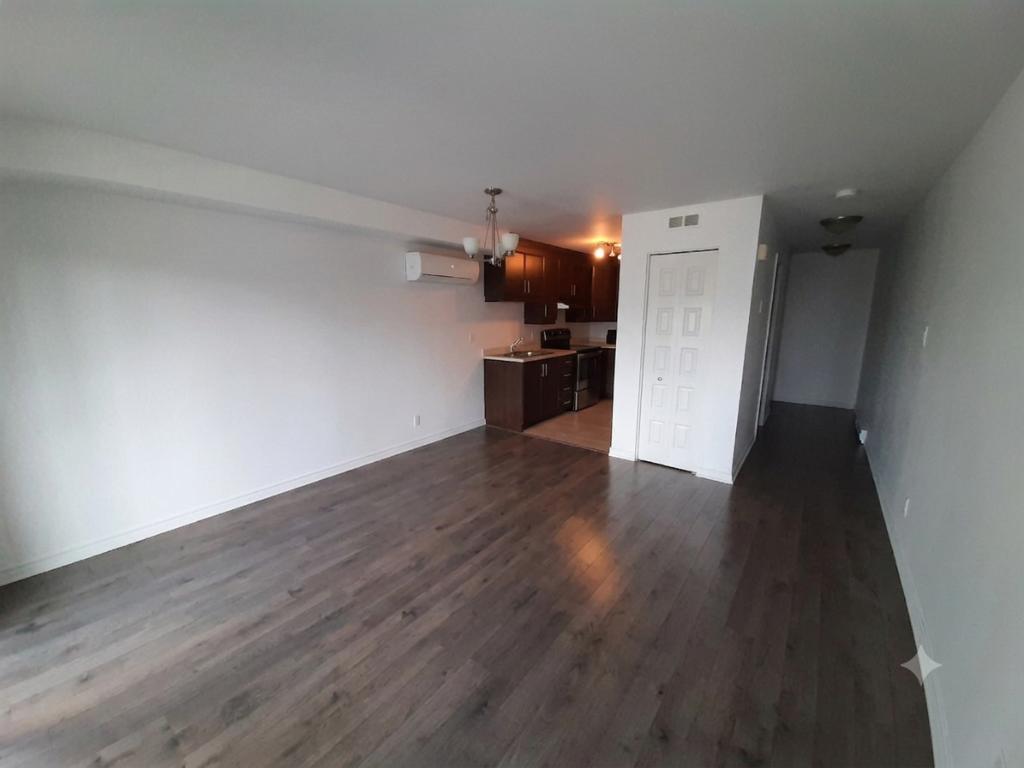 Beau 3 ½ à louer – 153, rue de Dublin, unité 5 (Plateau Aylmer) Beautiful 3 ½ for rent – 153 Dublin Street, Unit 5 (Aylmer Plateau) | 3305236