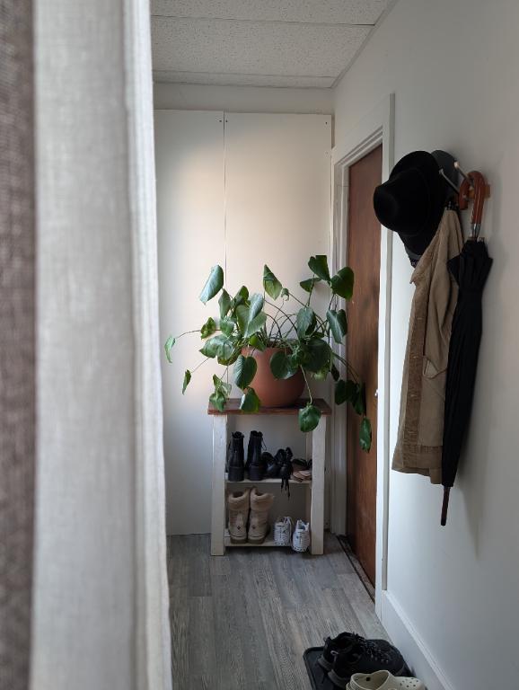 Logement 1 chambre et 1 salle de bain- animaux acceptés | 3306110