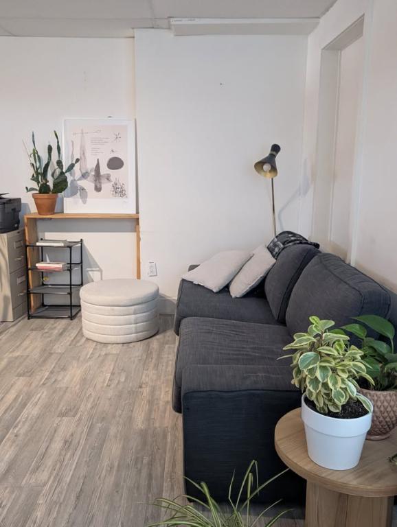 Logement 1 chambre et 1 salle de bain- animaux acceptés | 3306110