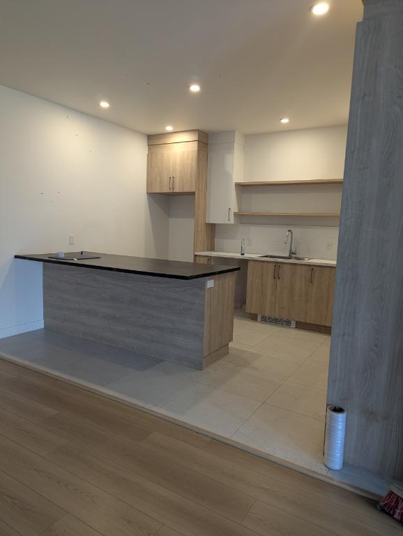 LUXUEUX 4 1/2 À LOUER À MONTRÉAL | 3306179