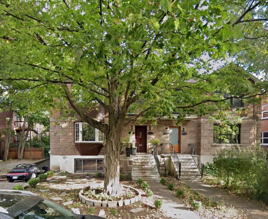 Haut de duplex 5 1/2 avec terrasse | 3306247