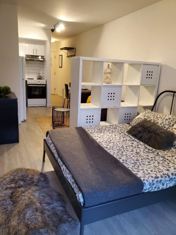 Studio - Montréal - $1,145 /mo | 3307343