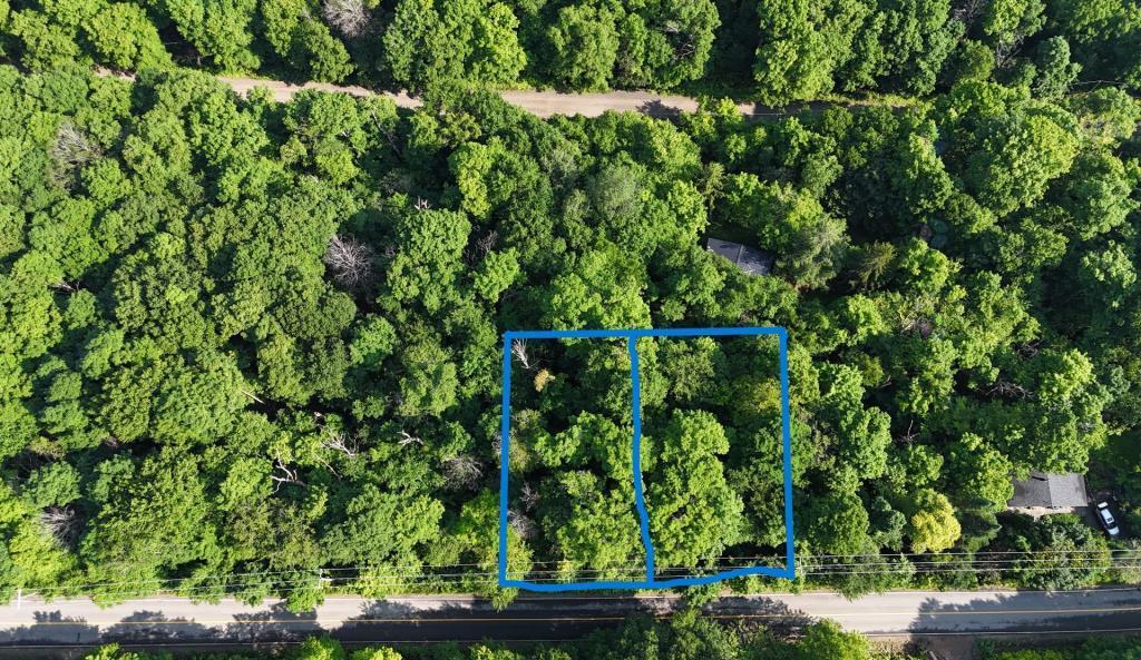 AUBAINE 2 terrains pour le prix d'un LAURENTIDES Saint-Adolphe-d'Howard à vendre | 3307460