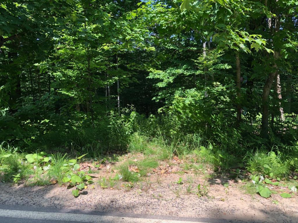 AUBAINE 2 terrains pour le prix d'un LAURENTIDES Saint-Adolphe-d'Howard à vendre | 3307460