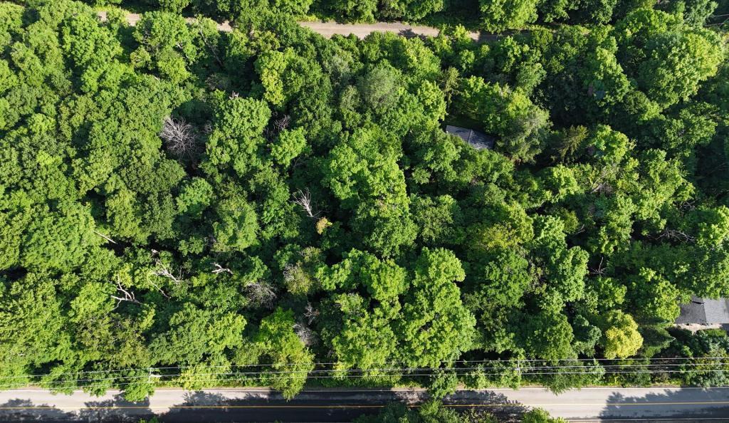 AUBAINE 2 terrains pour le prix d'un LAURENTIDES Saint-Adolphe-d'Howard à vendre | 3307460