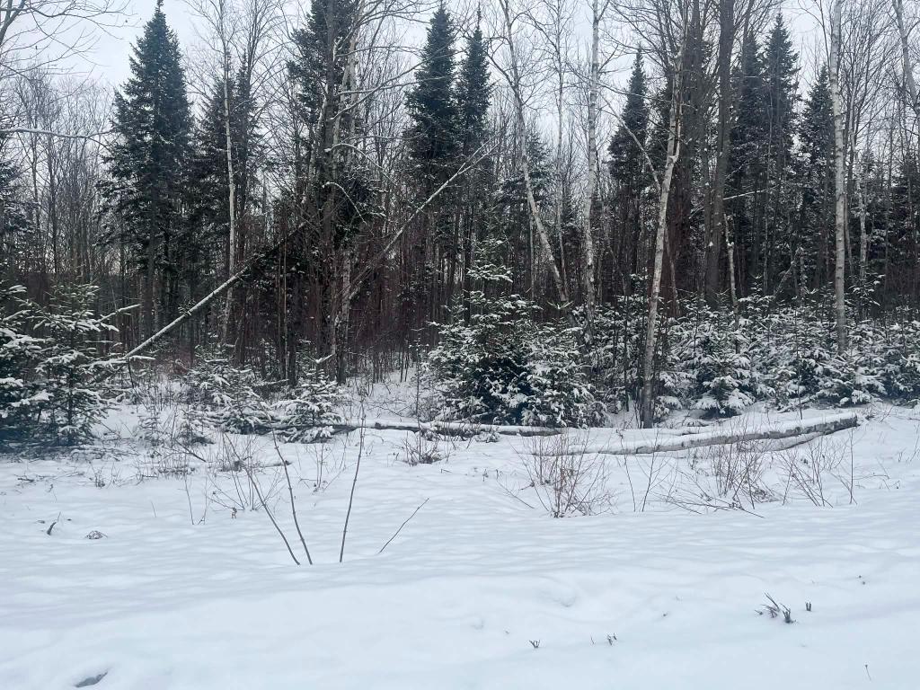 Terrain 43k pc avec accès au lac | 3307464