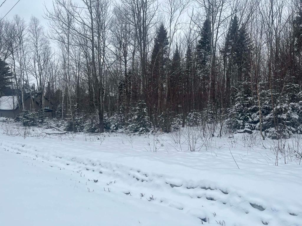 Terrain 43k pc avec accès au lac | 3307464