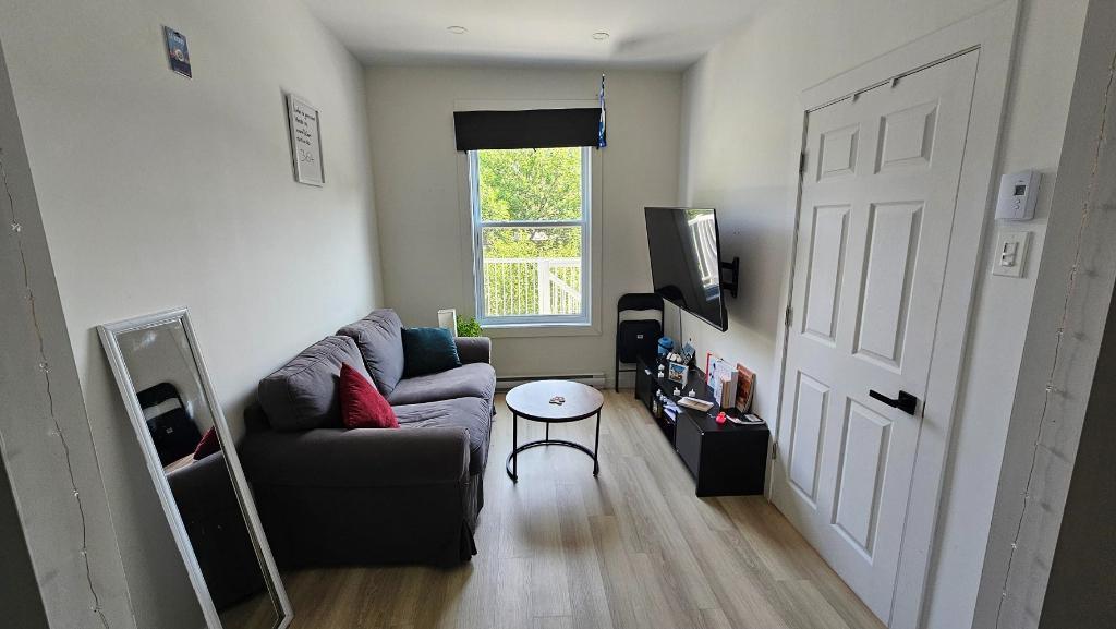 3 1/2 lumineux et meublé à louer Rosemont Petite- Patrie / Petite Italie à 10 min de Beaubien | 3307615