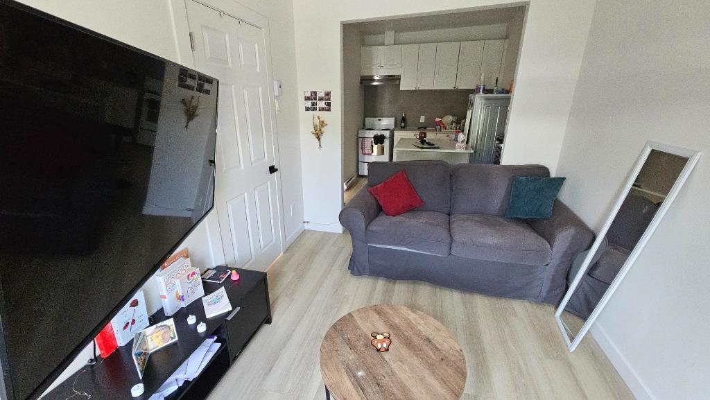 3 1/2 lumineux et meublé à louer Rosemont Petite- Patrie / Petite Italie à 10 min de Beaubien | 3307615