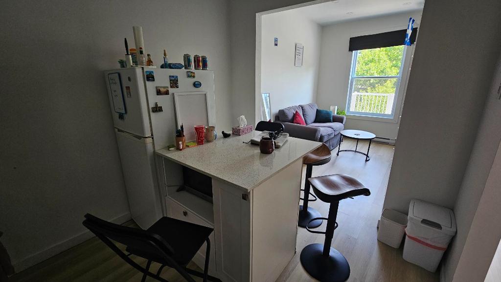 3 1/2 lumineux et meublé à louer Rosemont Petite- Patrie / Petite Italie à 10 min de Beaubien | 3307615