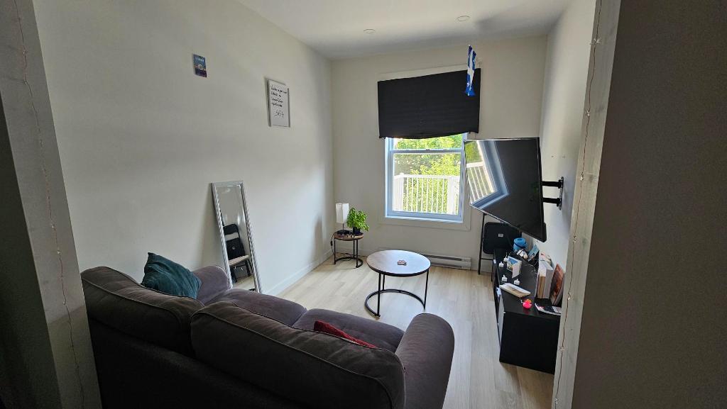 3 1/2 lumineux et meublé à louer Rosemont Petite- Patrie / Petite Italie à 10 min de Beaubien | 3307615