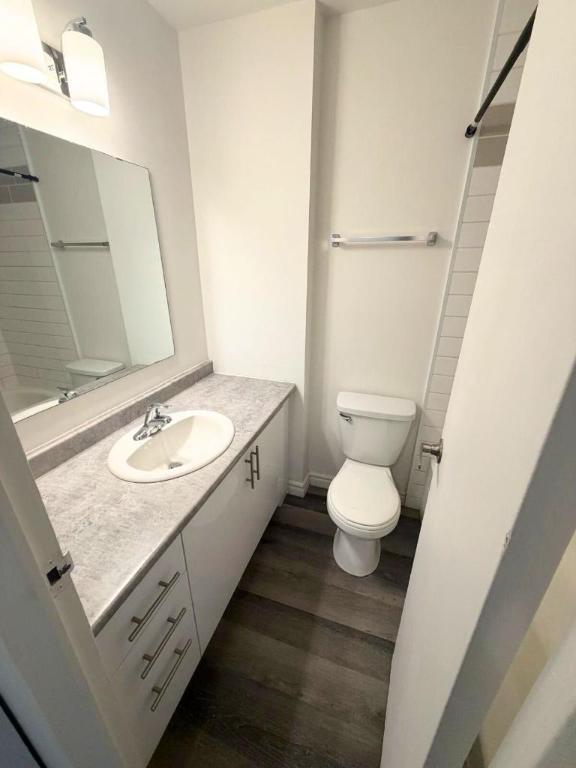 Studio - Gatineau - $1,199 /mo | 3307803