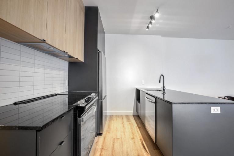 3 1/2 - Montréal (La Petite-Patrie) - 1 650 $/mois | 3307886