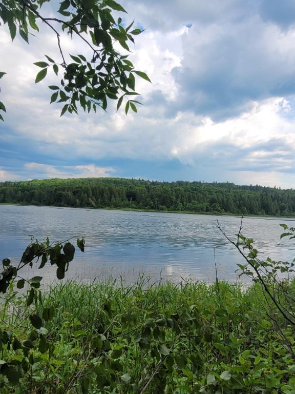 ​🌲 Grand terrain bord de l'eau à Squatec – 70 876 pi² | 3307977
