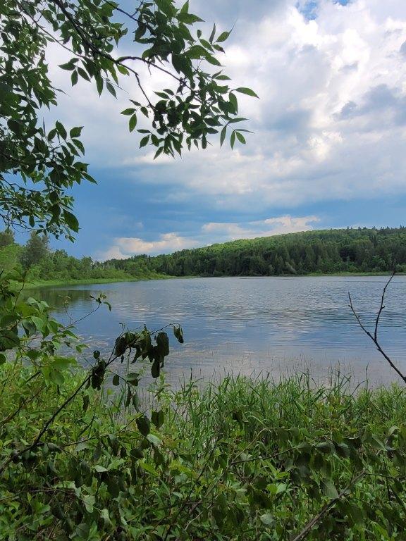 ​🌲 Grand terrain bord de l'eau à Squatec – 70 876 pi² | 3307977