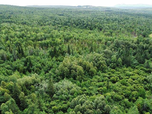 Nantes (Estrie) : Terre à bois de 42 acres, forêt mixte idéale pour la chasse, zoné blanc, ruisseau | 3308366