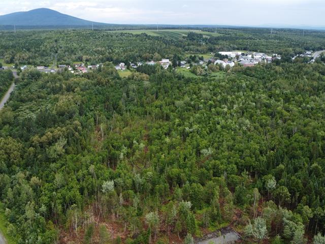 Nantes (Estrie) : Terre à bois de 42 acres, forêt mixte idéale pour la chasse, zoné blanc, ruisseau | 3308366