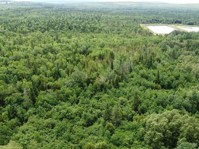 Nantes (Estrie) : Terre à bois de 42 acres, forêt mixte idéale pour la chasse, zoné blanc, ruisseau | 3308366