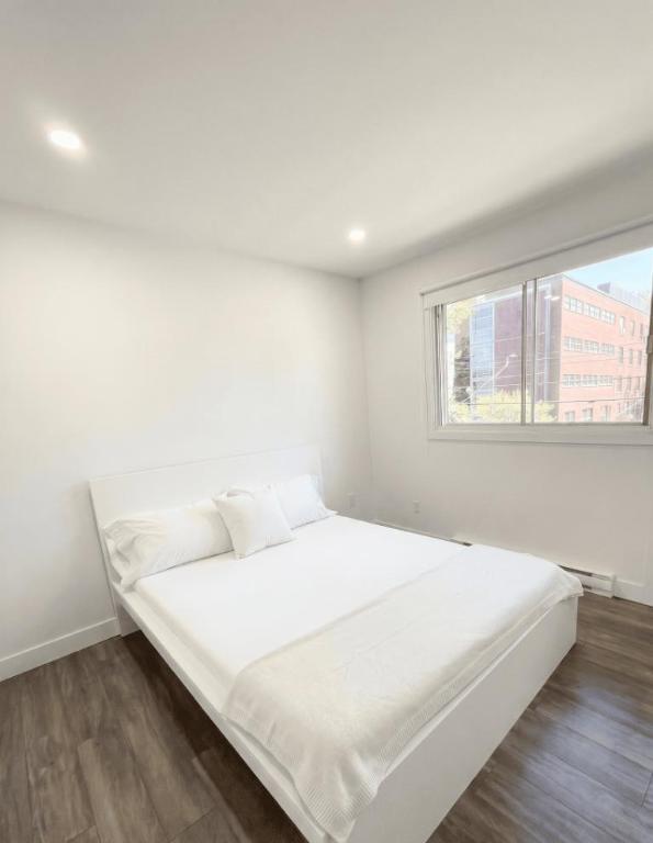 1 CH - 1 SDB - Montréal - $1,399 /mo | 3308081