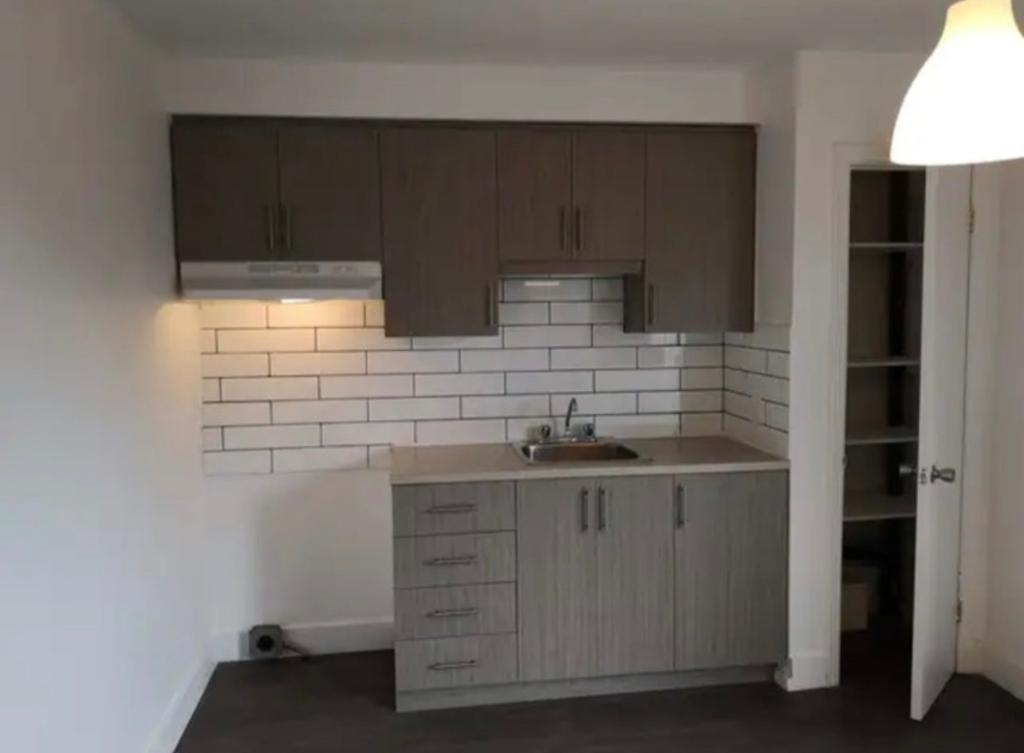 3 1/2 Delorimier et Jarry | 3308229