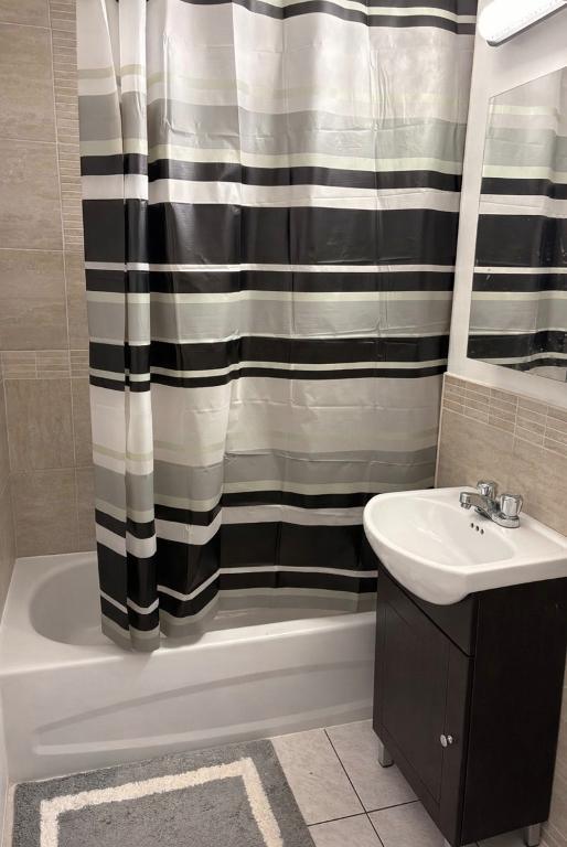 3 1/2 Delorimier et Jarry | 3308229