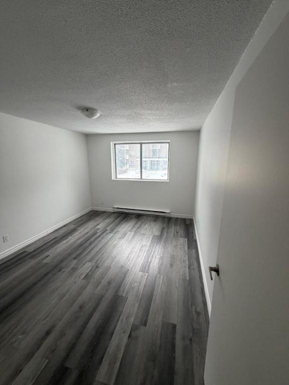 Studio - Gatineau - $1,199 /mo | 3308237