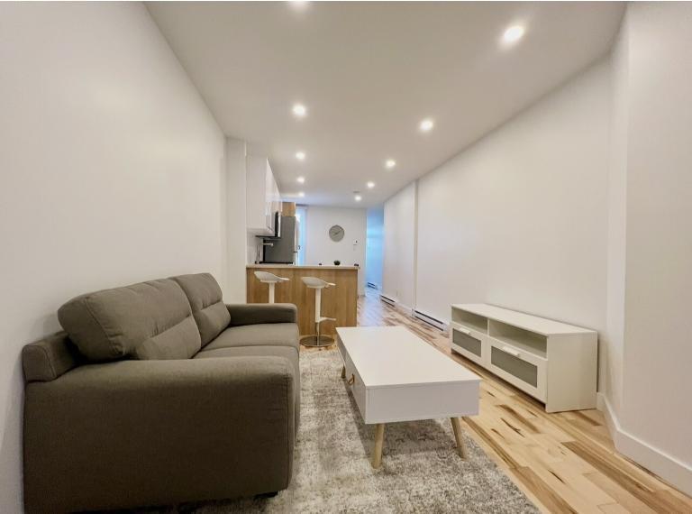 3 1/2 - Montréal (Hochelaga / Maisonneuve) - 1 350 $/mois | 3308473