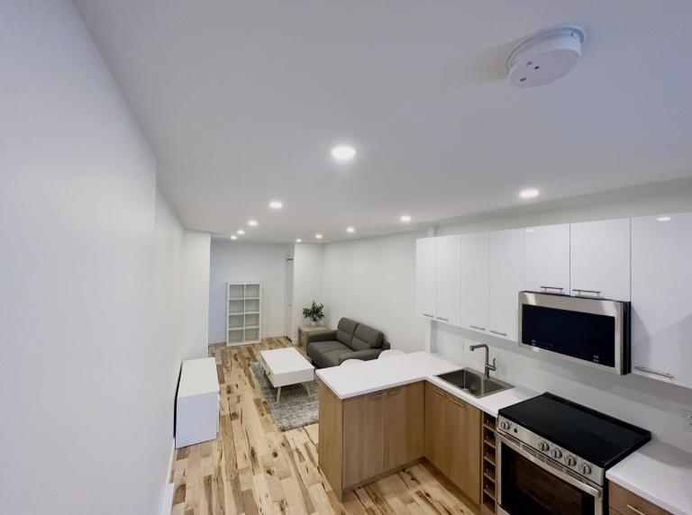 3 1/2 - Montréal (Hochelaga / Maisonneuve) - 1 350 $/mois | 3308473