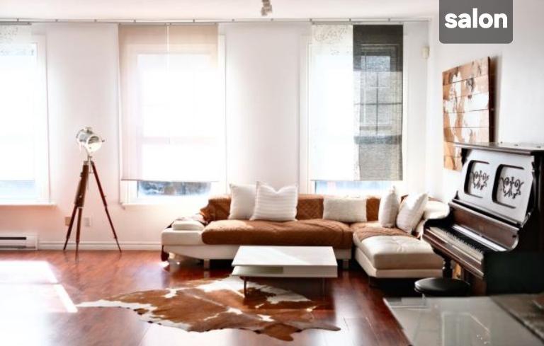5 1/2 - Montréal (Centre-Sud) - 2 500 $/mois | 3308501